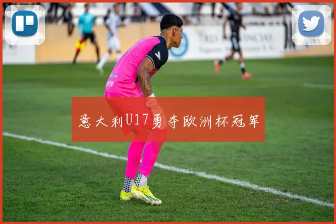 意大利U17勇夺欧洲杯冠军