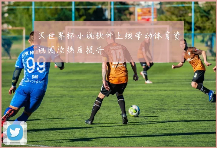 买世界杯小说软件上线带动体育资讯阅读热度提升