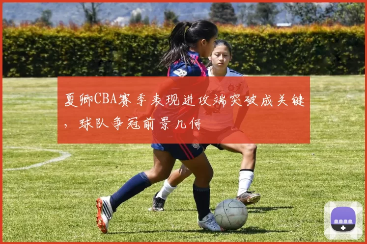 夏卿CBA赛季表现进攻端突破成关键，球队争冠前景几何