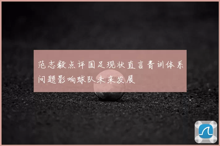 范志毅点评国足现状直言青训体系问题影响球队未来发展