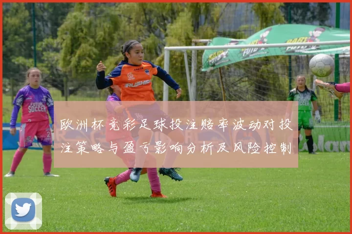 欧洲杯竞彩足球投注赔率波动对投注策略与盈亏影响分析及风险控制看点