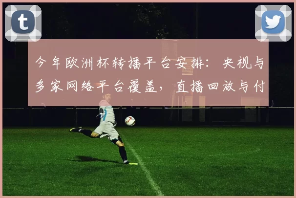 今年欧洲杯转播平台安排：央视与多家网络平台覆盖，直播回放与付费方式